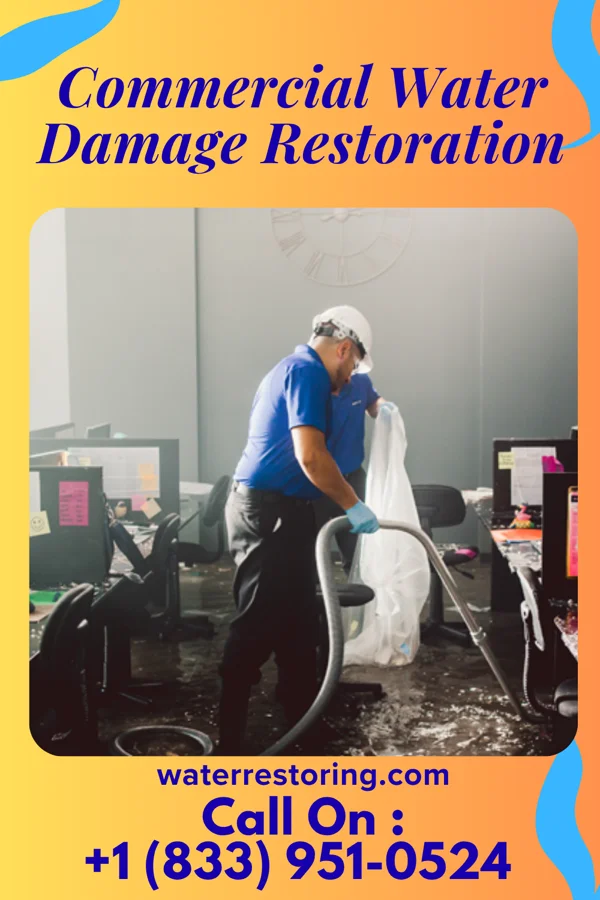 Commercial Water Damage Restoration in Cotton City, NM