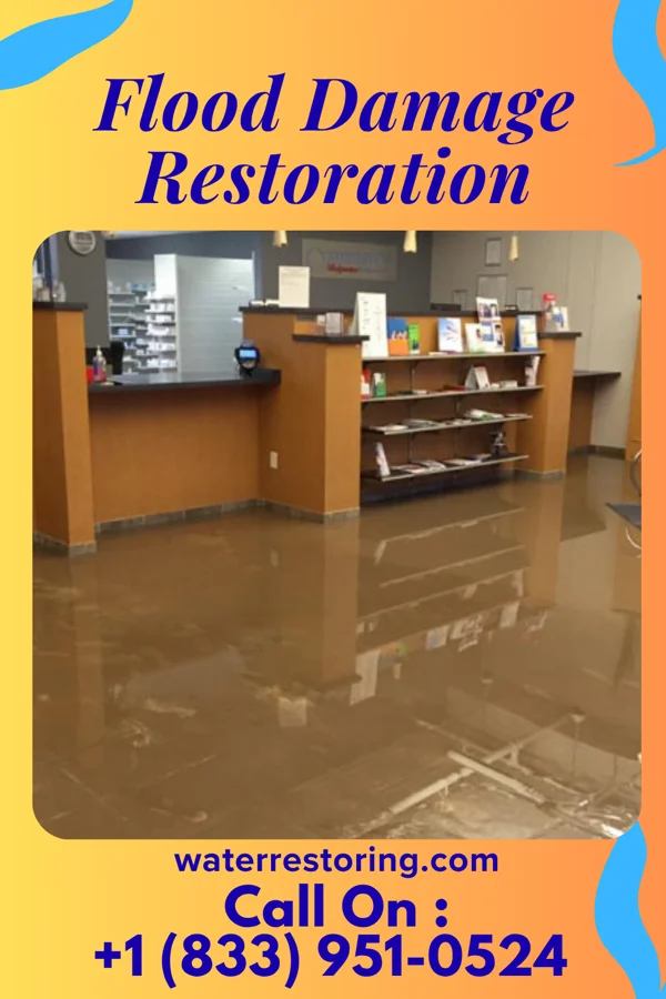 Flood Damage Restoration in Cotton City, NM